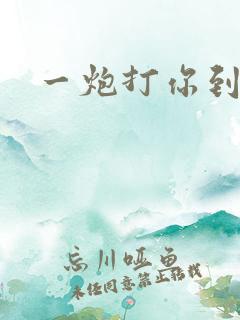 一炮打你到天亮