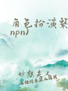 角色扮演系统(npn)