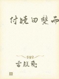 付晓田双面间谍