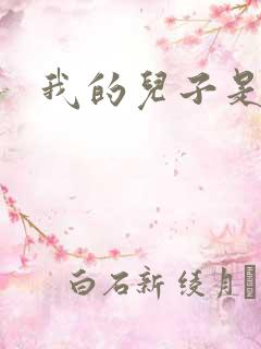 我的儿子是雍正