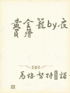 黄金笼by夜很贫瘠