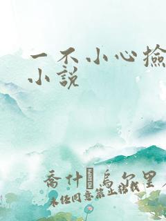 一不小心捡到爱小说