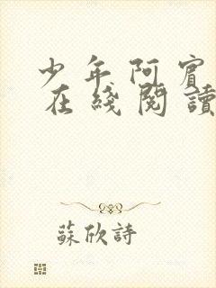 少 年 阿 宾 在 线 阅 读