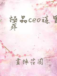 极品ceo这里疼
