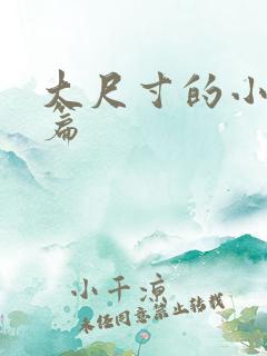 大尺寸的小说短篇