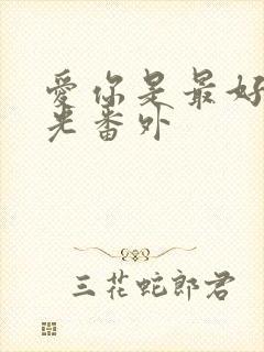 爱你是最好的时光番外