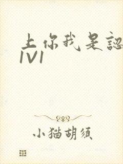 上你我是认真的1V1