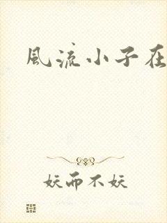 风流小子在异世