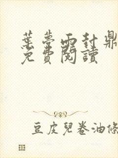 叶梦雨封鼎小说免费阅读