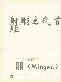 射雕之我有太玄经