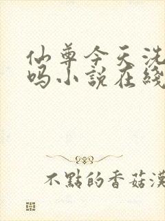 仙尊今天洗白了吗小说在线阅读