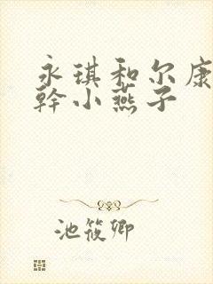 永琪和尔康一起干小燕子