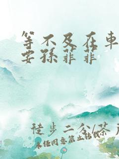 等不及在车里就要孙菲菲