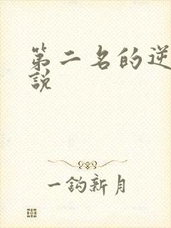 第二名的逆袭小说