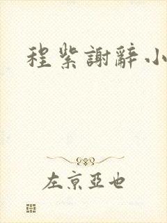 程紫谢辞小说
