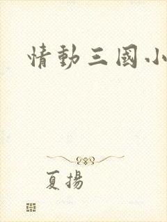 情动三国小说
