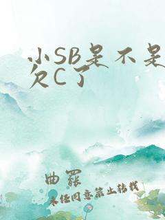 小SB是不是又欠C了