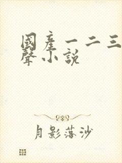 国产一二三区有声小说