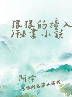 狠狠的撞入(h)秘书小说