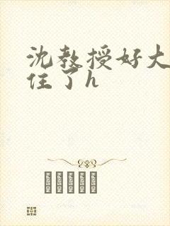 沈教授好大含不住了h