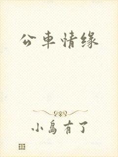 公车情缘