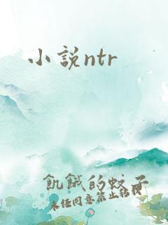 小说ntr