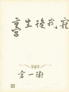 重生后我宠冠东宫