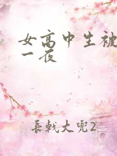 女高中生被弄了一夜