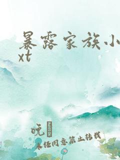 暴露家族小说txt