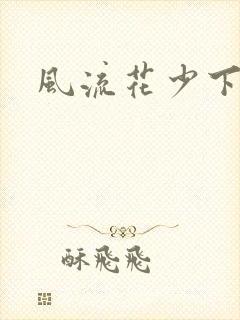 风流花少下载