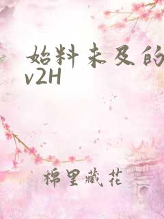 始料未及的软1v2H