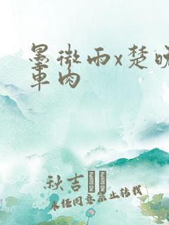 墨微雨x楚晚宁车肉