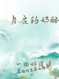 月夜的奶酪h