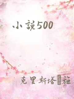 小说500