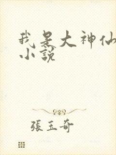 我是大神仙时江小说