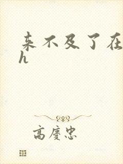 来不及了在车ch