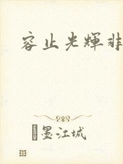 容止光辉非世人