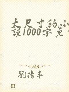 大尺寸的小黄说说1000字免费阅读
