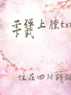 子弹上膛txt下载