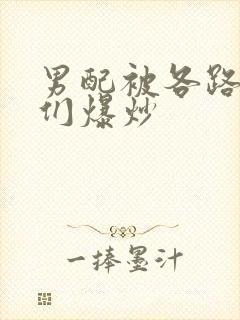 男配被各路大佬们爆炒