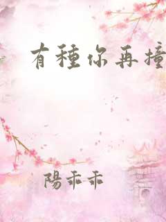 有种你再撞一下