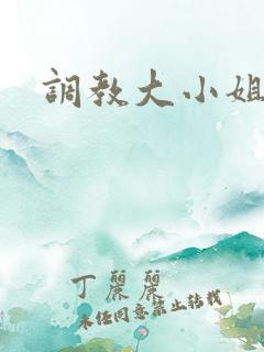 调教大小姐