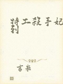 特工杀手妃来驾到