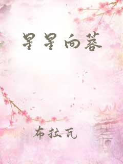 星星向蓉