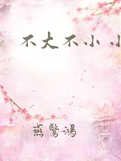 不大不小 小说