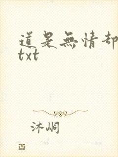 道是无情却有情txt