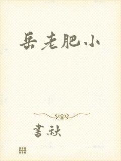 岳老肥小