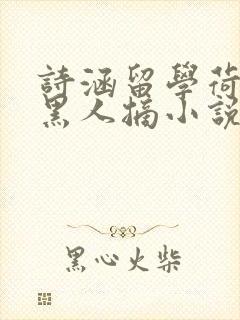 诗涵留学荷兰被黑人摘小说