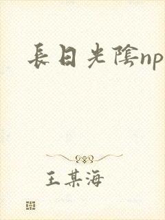 长日光阴np
