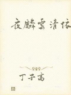 夜麟云清依小说